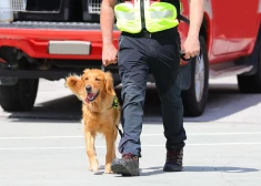В Царникаве школьные классы и вещи учеников проверили с собаками