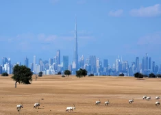 Lidosim uz Dubaiju! "flydubai" piektdien informēs par jauno maršrutu