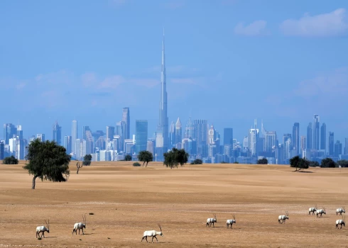 Dubaijas panorāma (foto: Scanpix / AP)