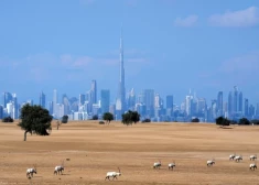 Готовьте чемоданы: flydubai в пятницу представит прямой рейс в Дубай