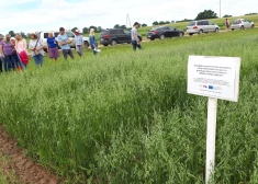 Cik lielā cieņā Latvijā ir bioloģiskā pārtika?