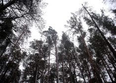 Во вторник во многих местах ожидается дождь