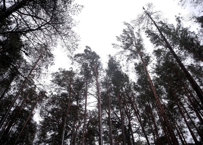 Во вторник во многих местах ожидается дождь