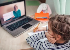 Учителя заочных школ напоминают депутатам Сейма о себе: “Мы - те, кто удерживает детей в образовании"