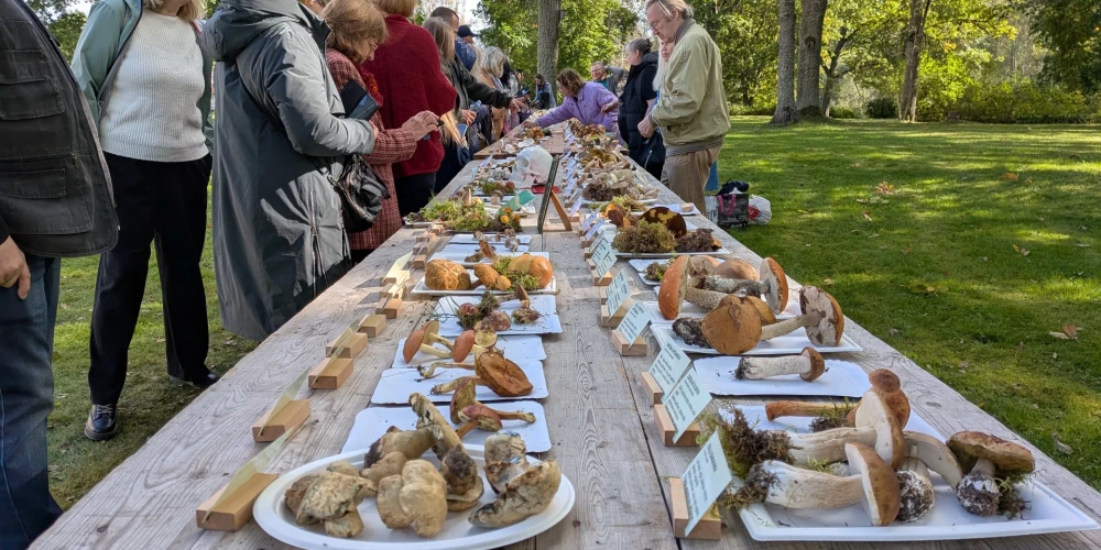 Festivālā "MIKOFEST 2025" Mēru muižā Smiltenes novadā sabrauca gan pētnieki, gan ierindas sēņotāji.