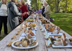 Sēņu festivāls! Kas tas ir un kāpēc tev tur nākamreiz obligāti jābūt