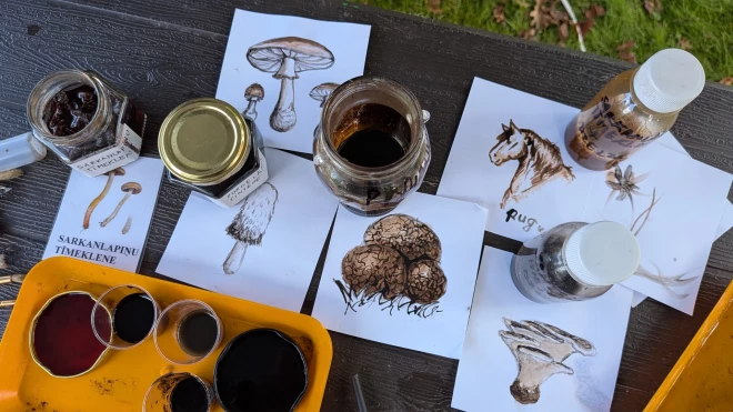 Šie zīmējumi tapuši ar tinti, izgatavotu no sēnēm. No sēnēm var iegūt arī papīru.