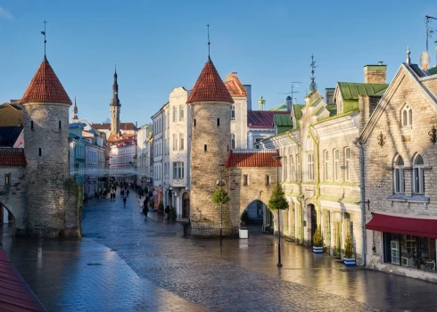 Par Tallinas mēru ievēlēts tēvzemietis Raudseps.