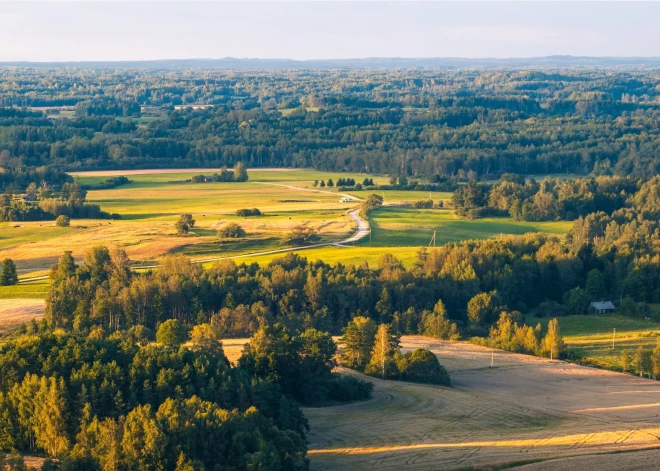 Latvijas mežu ceļi nav tikai braukšanai auto – tā ir ekosistēmas daļa