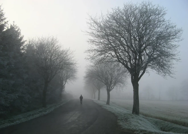 Tieši tik daudz soļu dienā jānoiet, lai novērstu demenci