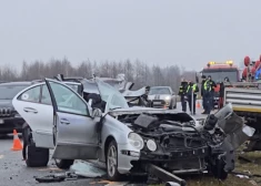Uz šosejas Palanga–Liepāja izskrējušas mežacūkas izraisa vairāku auto sadursmi