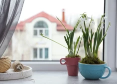 Kā samazināt apkures izmaksas, ja logos svilpo vējš?