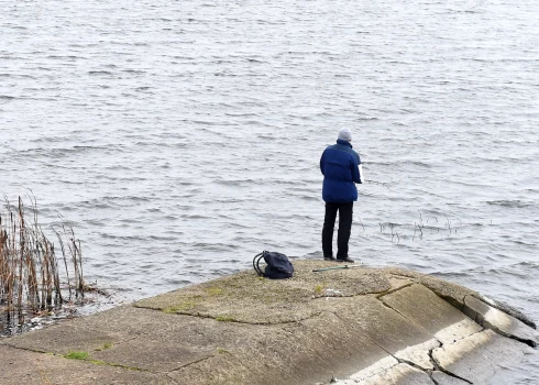 Не забудьте зарегистрировать каждую рыбку!