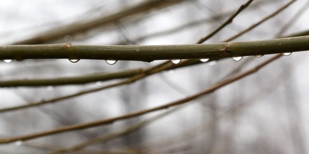 Sākot no rietumiem, trešdien visā valstī līs. 
