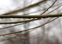 Sākot no rietumiem, trešdien visā valstī līs