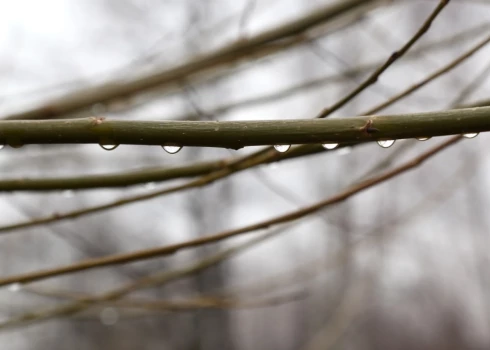 Sākot no rietumiem, trešdien visā valstī līs. 