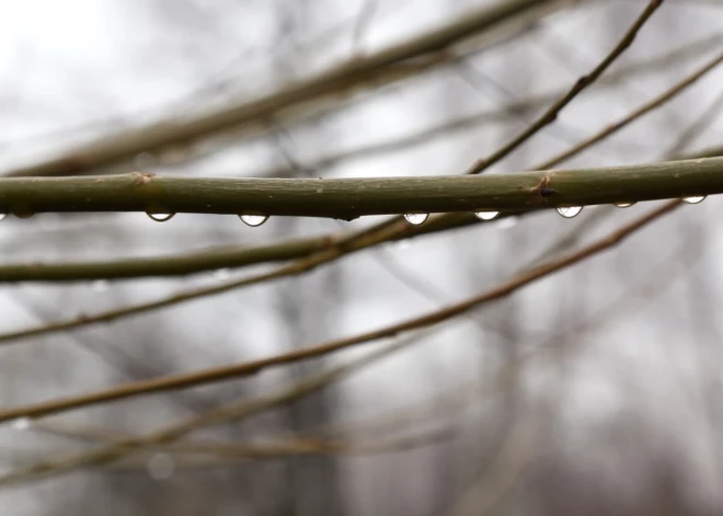 Sākot no rietumiem, trešdien visā valstī līs