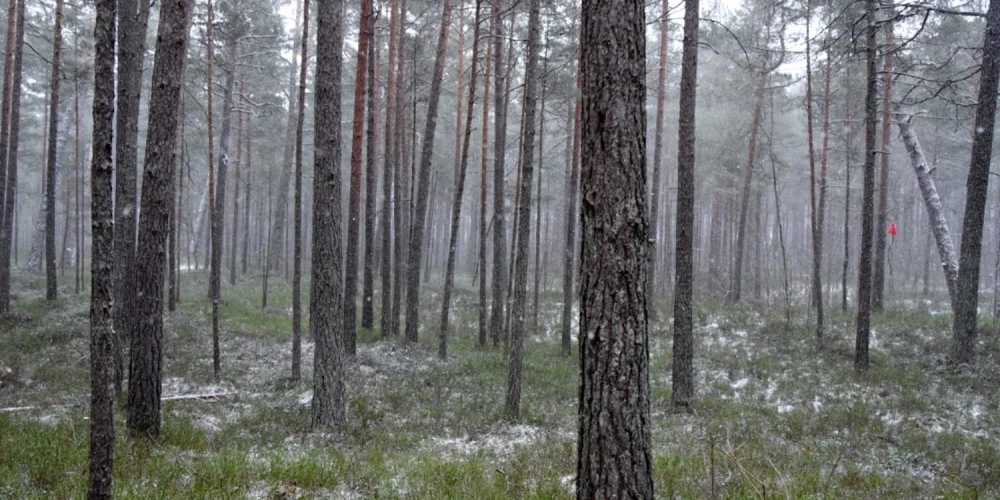 Nedēļas nogalē gaisa temperatūra noslīdēs zem nulles.