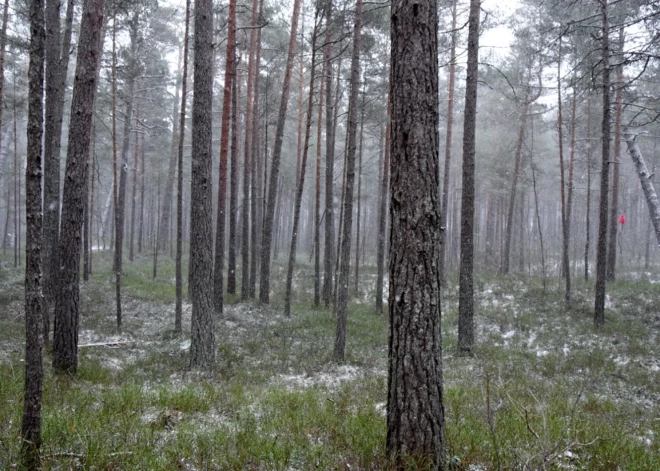 Nedēļas nogalē gaisa temperatūra noslīdēs zem nulles