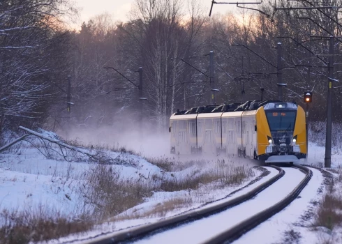 Elektrovilciens "Vivi".