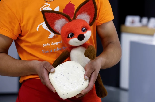 “Lapsu Mājas siers” šobrīd piedāvā trīs dažādu veidu sierus: mājās ražotu nenogatavinātu sieru ar samazinātu sāls daudzumu, kura sastāvā ir gotiņas piens, skābs krējums un olas; pirmo Latvijā ražoto bezlaktozes mājas sieru no gotiņas piena; Jāņu sieru.