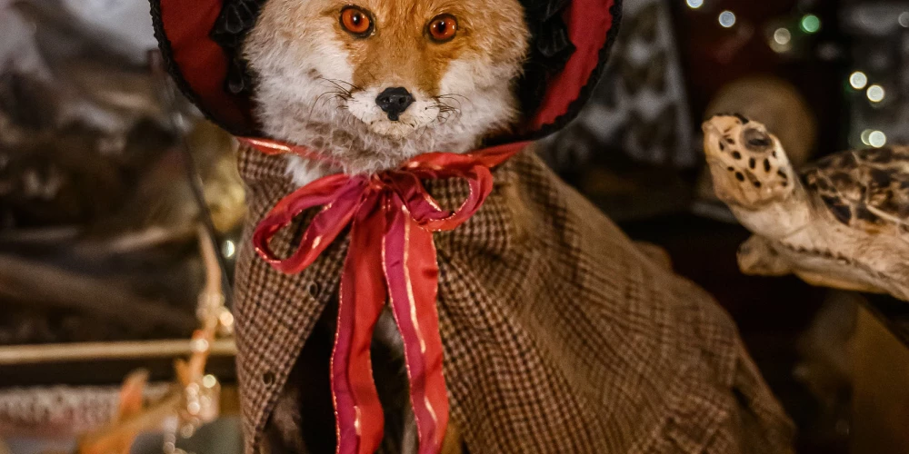 Крупнейшая литовская Пакруойская усадьба открыла зимний сезон и приглашает гостей на «Мастерские рождественских приключений».