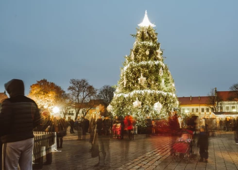 2015. gada Ziemassvētku egle Lietuvas pilsētā Kauņā.