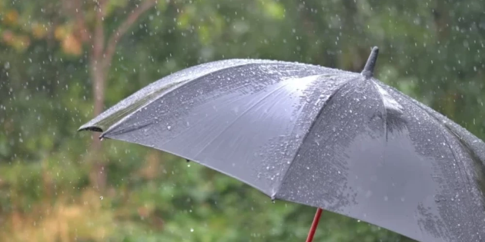 Иллюстративное фото.