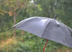 Дожди и сильный ветер накроют Латвию в четверг