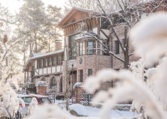 Koku ciema ziemas taka aicina sastapt 12 labo koku rūķus Annas koku skolā!