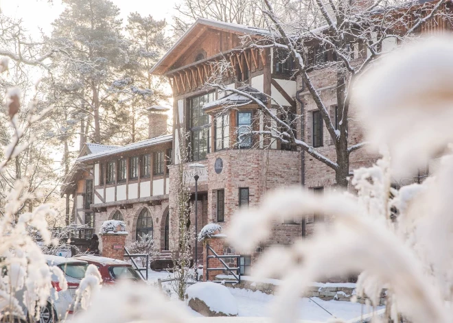 Koku ciema ziemas taka aicina sastapt 12 labo koku rūķus Annas koku skolā!
