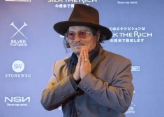 Джонни Депп рискует стать очередной жертвой проклятия романа "Мастер и Маргарита"