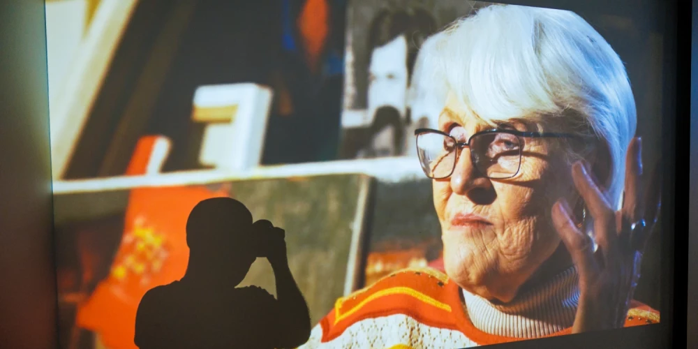 LNMM aicina uz diskusiju par Džemmu Skulmi.