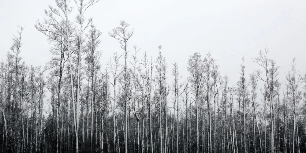 Piektdien pēc siltas nakts gaiss kļūs vēsāks. 