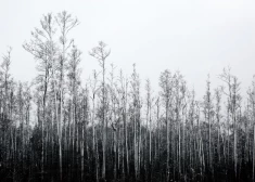 Piektdien pēc siltas nakts gaiss kļūs vēsāks