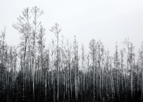 Piektdien pēc siltas nakts gaiss kļūs vēsāks. 