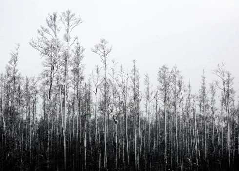 Иллюстративное фото.