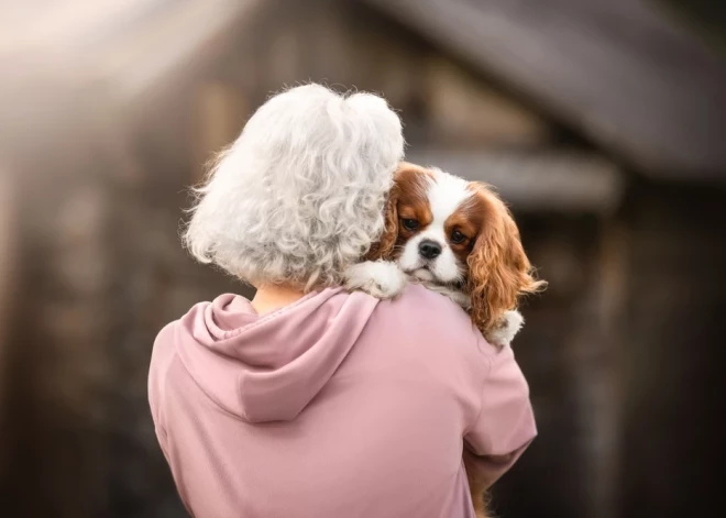 Три знака зодиака, которые любят животных больше, чем людей