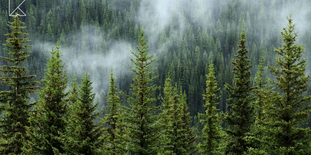 Mežs būtiski kalpo iedzīvotāju vajadzībām — rekreācijai, tūrismam, ainavu veidošanai.