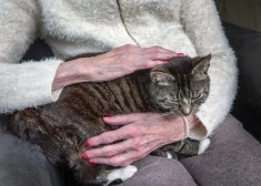 Неврологические болезни становятся новой "эпидемией": системы здравоохранения не успевают