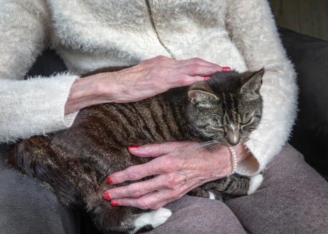 Неврологические болезни становятся новой "эпидемией": системы здравоохранения не успевают