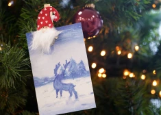 Хотите помочь на Рождество? Проверьте эти вещи, прежде чем переводить деньги