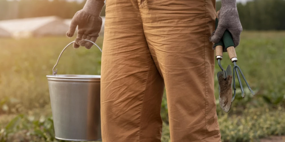 Īpašais sezonas laukstrādnieku nodokļu režīms ļauj bez liekas birokrātijas slēgt līgumu uz ražas novākšanas laiku.