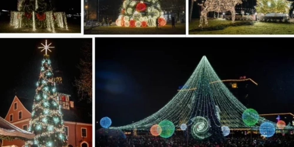 Посмотрите, какие красавицы сейчас украшают города Латвии.