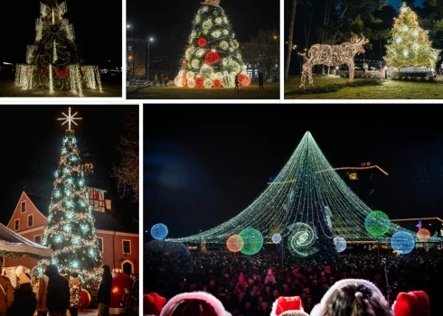 Посмотрите, какие красавицы сейчас украшают города Латвии.