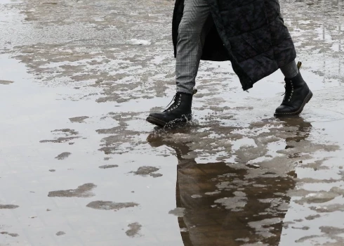 Иллюстративное фото.