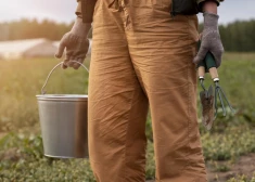 В Латвии растет число хозяйств, нанимающих сезонных сельскохозяйственных рабочих