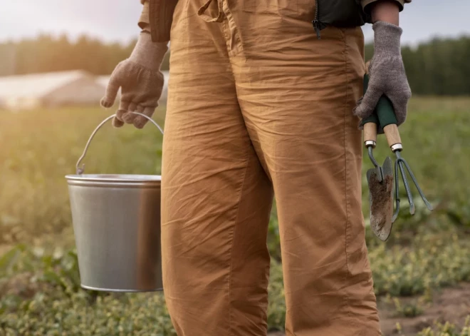 В Латвии растет число хозяйств, нанимающих сезонных сельскохозяйственных рабочих