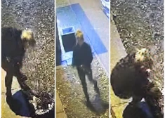 Ķengaragā uzdarbojies Grinčs - kāda sieviete no košumkrūmiem nozagusi gaismiņu virtenes, kamēr viņas kompanjons stāvēja uz vakts. VIDEO