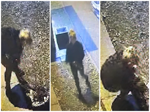 Ja atpazīsti foto un video redzamo sievieti - ziņo Valsts policijai.